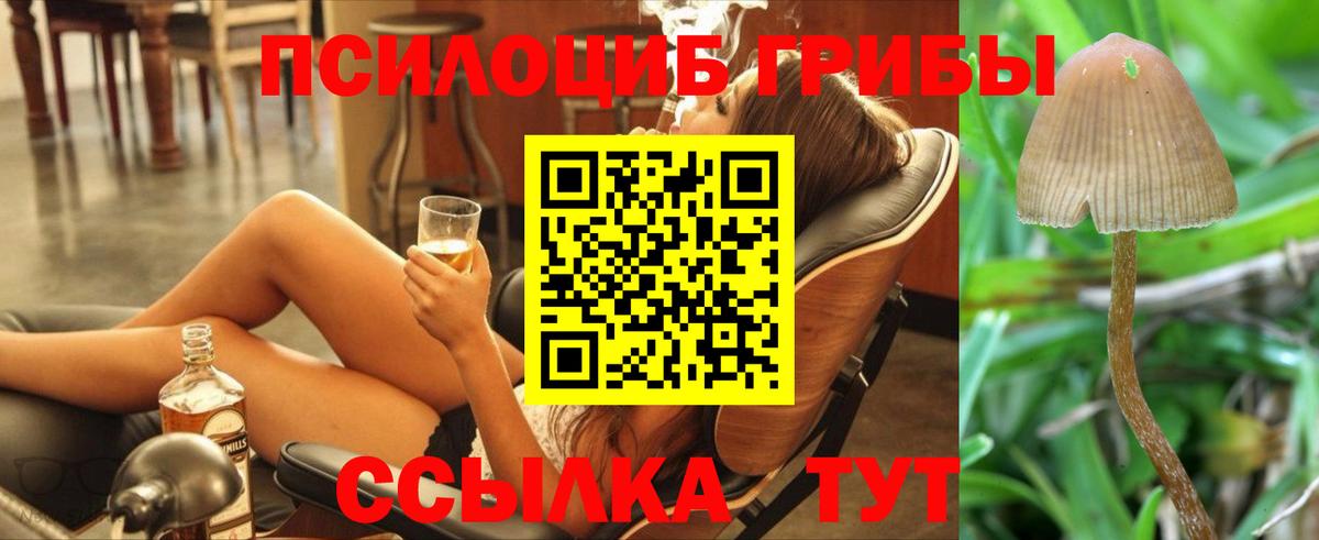 Городец  где продают наркотики  Вход с VPN  Псилоцибиновые грибы ЛСД 